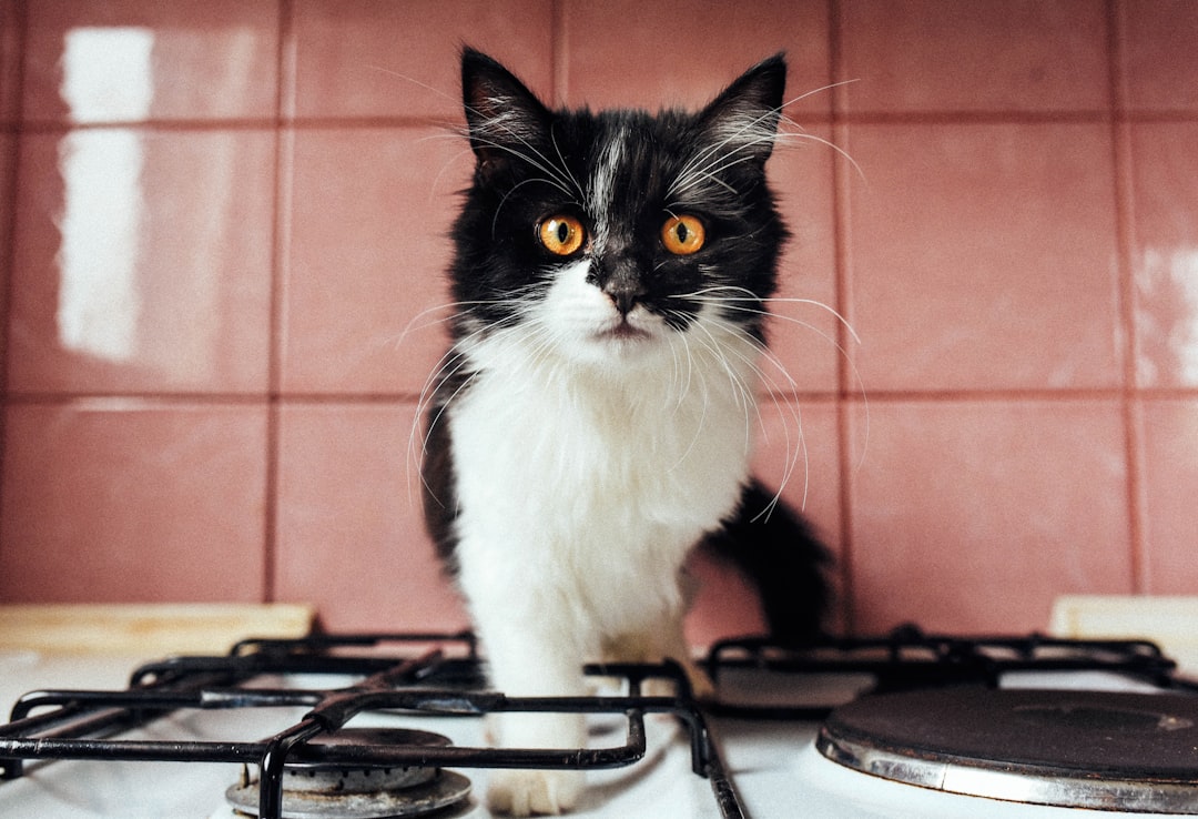 5 Litrelik Teneke Yağ Ambalajında NB ve Riviera Ürün Güvenliği