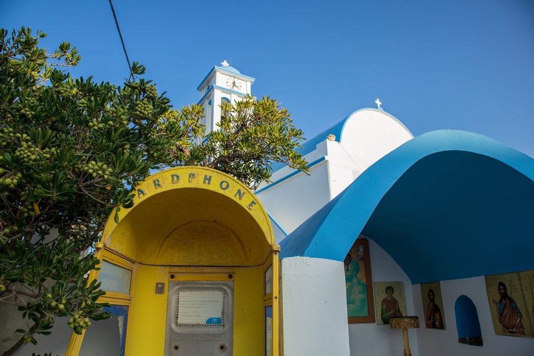 Akdeniz Mutfağında Zeytin ve Zeytinyağının Rolü - olive tree