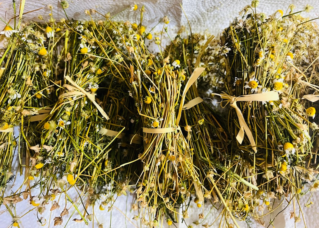 Aromatik Yağlarla Mutfakta Yaratıcı Farklılıklar - Italian herb blend