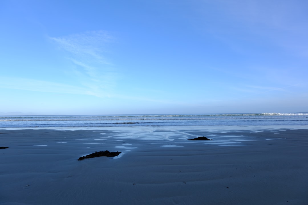 Ayvalık Organik Zeytinyağı ile Mutfağınızı Şımartın - Ayvalık sahil manzarası