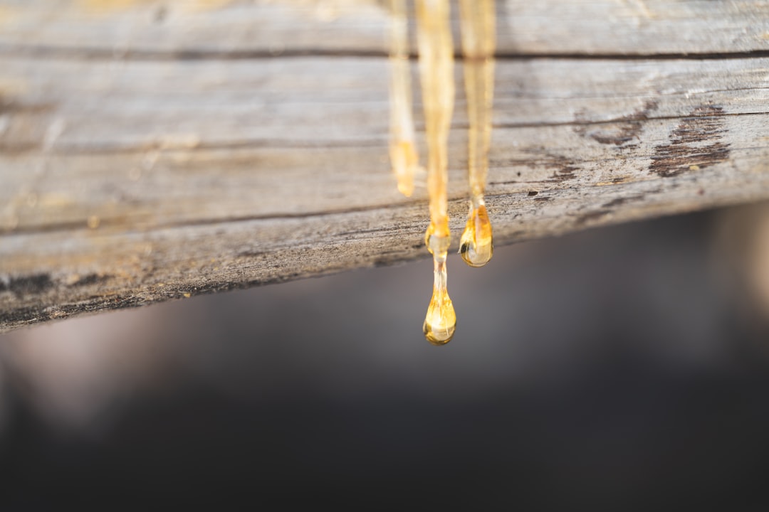 Baharatlı Yağ Kullanımıyla Akşam Yemeğini Öne Çıkarın - rosemary oil on a wooden spoon