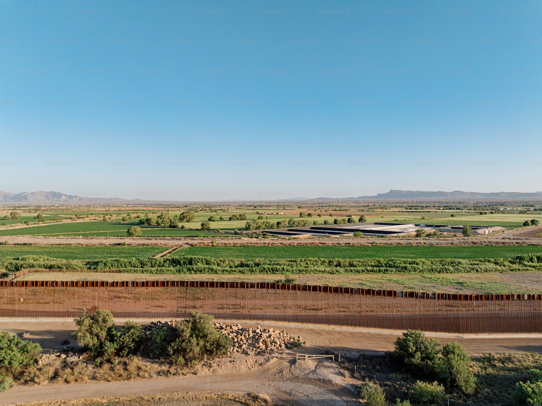 Bodur Zeytin Çeşidinde Milas Zeytinyağının Lezzet Dengeleme Sanatı - Milas landscape