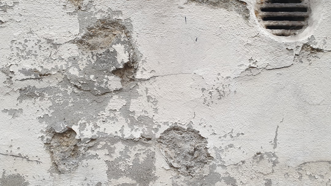 Coğrafi İşaretli Ege Yağları: Taş Baskı Hikayesi - taş baskı