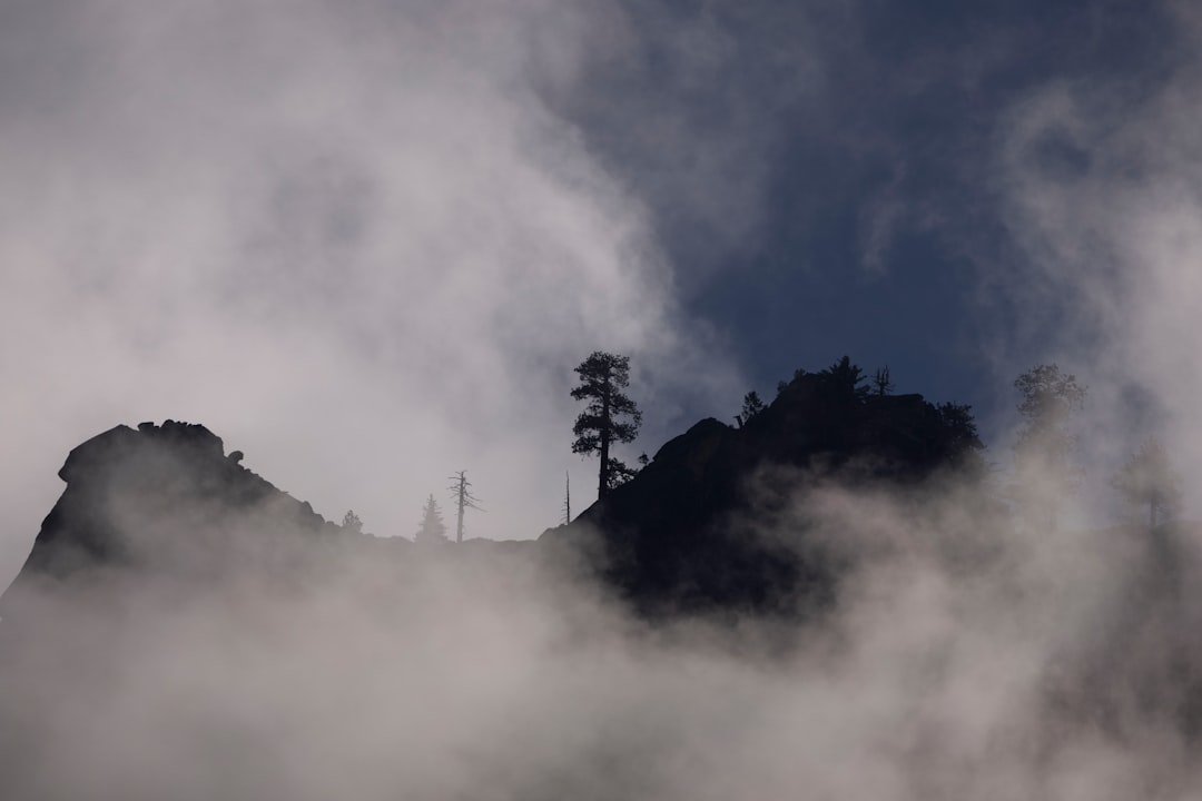 Doğal Birinci Ve Riviera Yağları Yüksek Duman Noktası - high smoke point