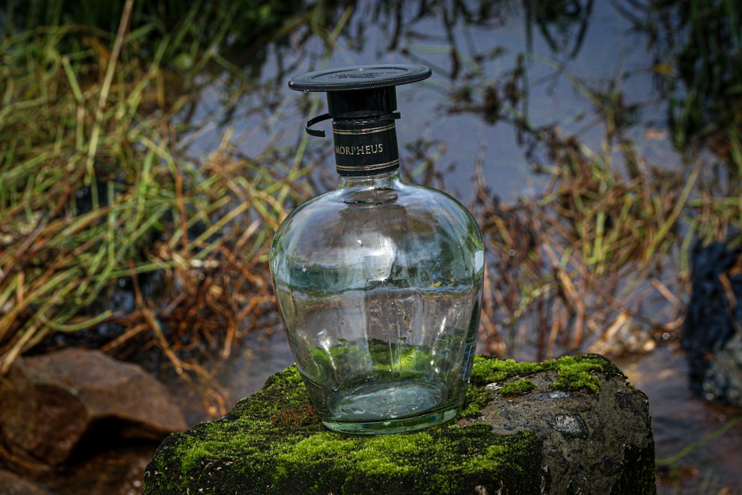 Doğal Tadım: Riviera Zeytinyağı ve Hafif Lezzet - oil storage jar