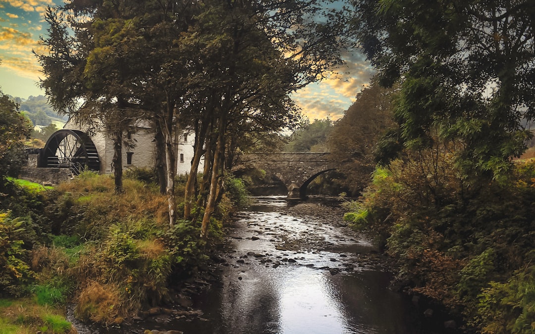 Edremit Körfezi Yağı: Geleneksel Taş Baskı Süreci - stone mill