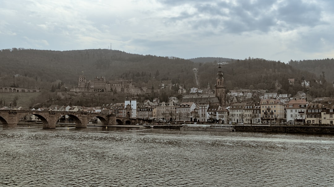 Ege Coğrafi İşaretli Yağları Domat ile İnovatif Yemekler - regional oil barrels