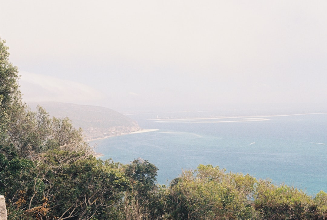 Ege Coğrafi İşaretli Yağları ve Modern Mutfak - Edremit coast