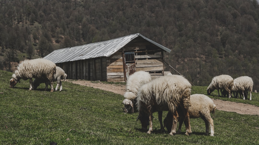Ege Coğrafi İşaretli Yağların Satış Başarı Hikayeleri - Çiftçi topluluğu toplantısı