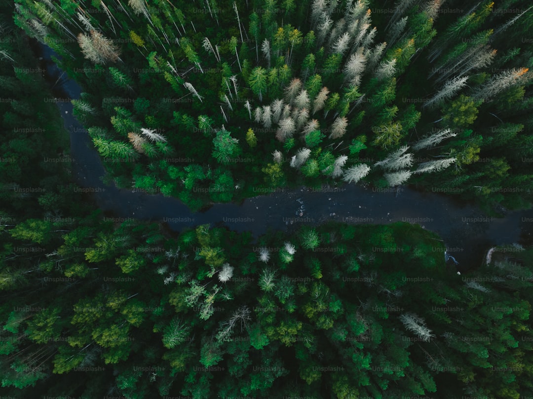 Ege’de Asit Oranlarıyla Tanışmanın Beş Neden - Milas zeytinyağı üretimi