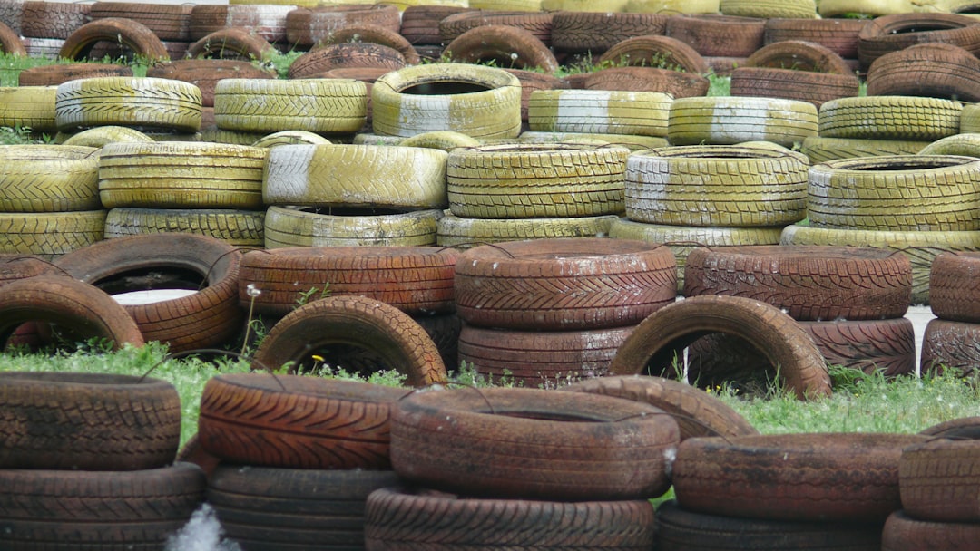 Ege’nin Coğrafi İşaretli Zeytinyağı Milas’tan Uluslararası Övgülere Uğradı - Milas zeytinyağı üretimi