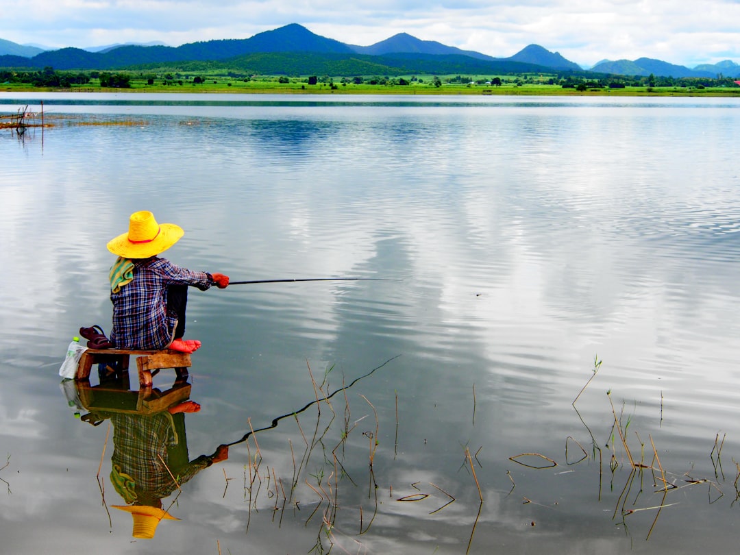 Ege'nin En Saf Yağı Milas Trilye Çeşidi