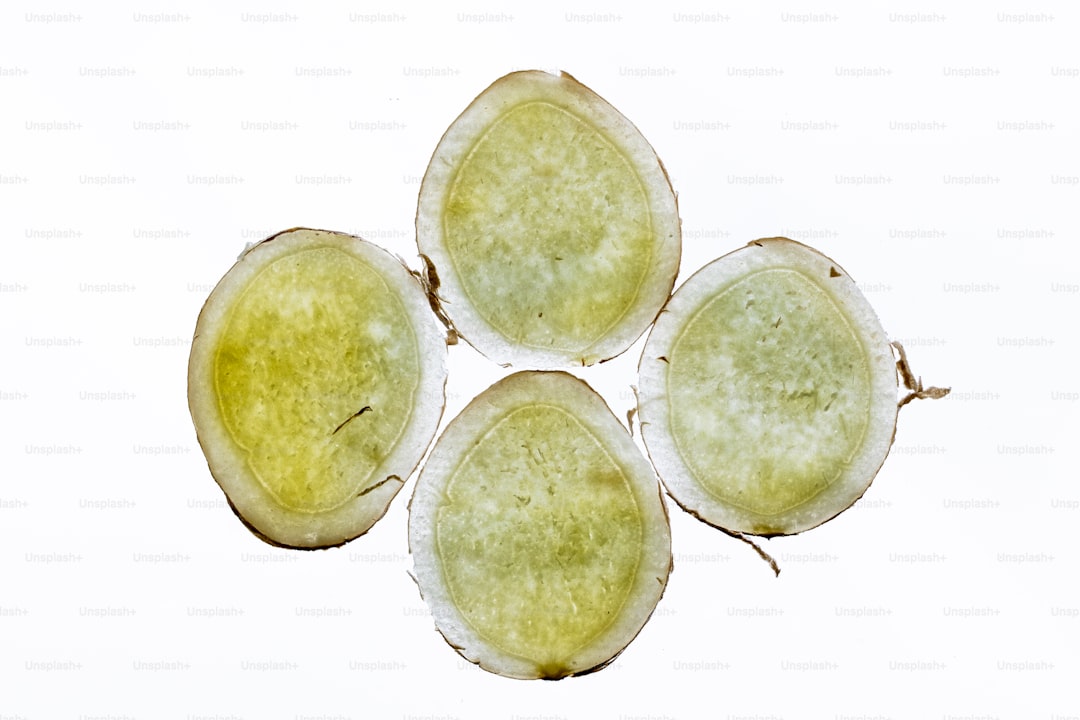 Erken Hasat Sızma Zeytinyağı Miktar Kılavuzu - zeytin tarlası