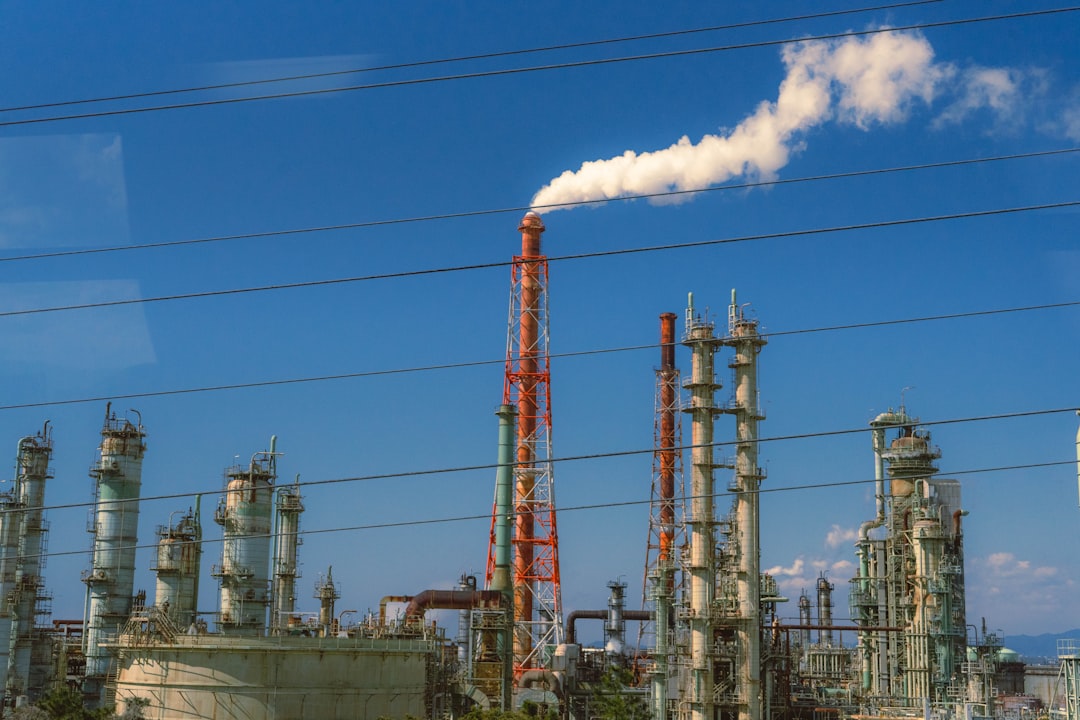 Erken Hasat Zeytinlerinden Organik Sızma Zeytinyağı Nasıl Yapılır - oil extraction process