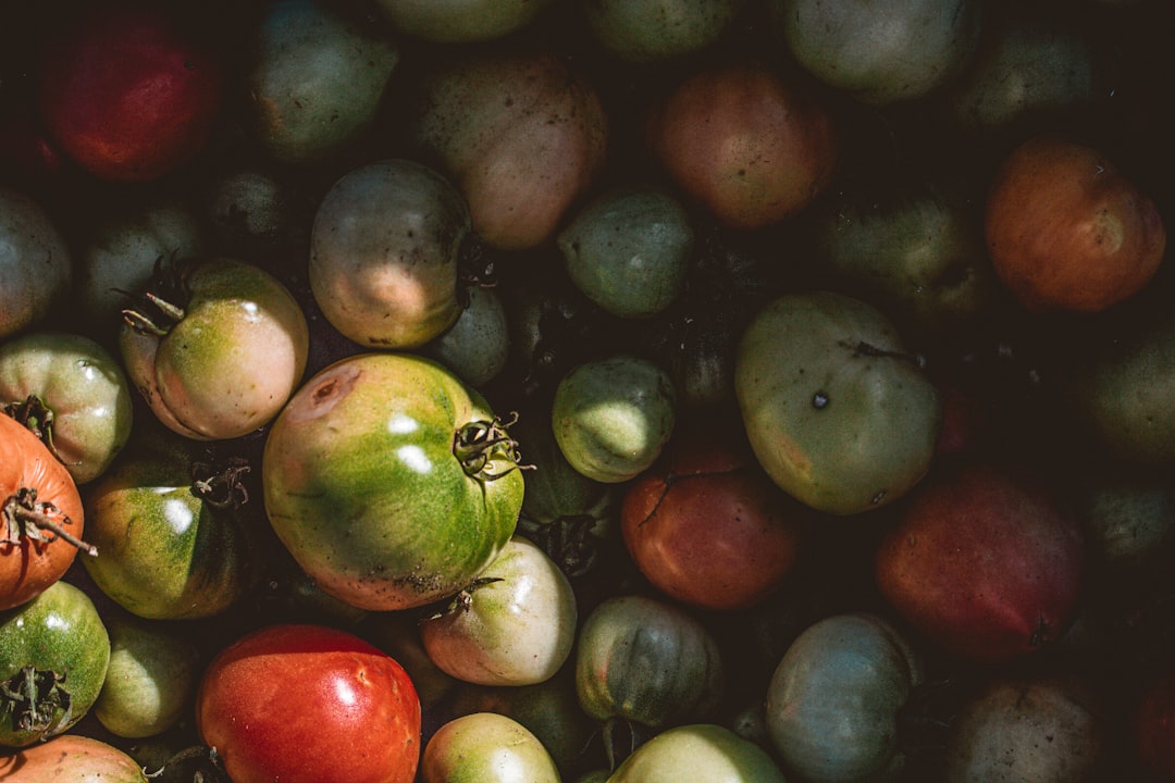 Erken Hasat Zeytinyağında Taze Meyve Aroması - salata ve zeytinyağı