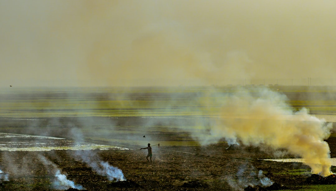 Havran Yağları ile Gıda Güvenliği Kontrolleri - toprak analizi