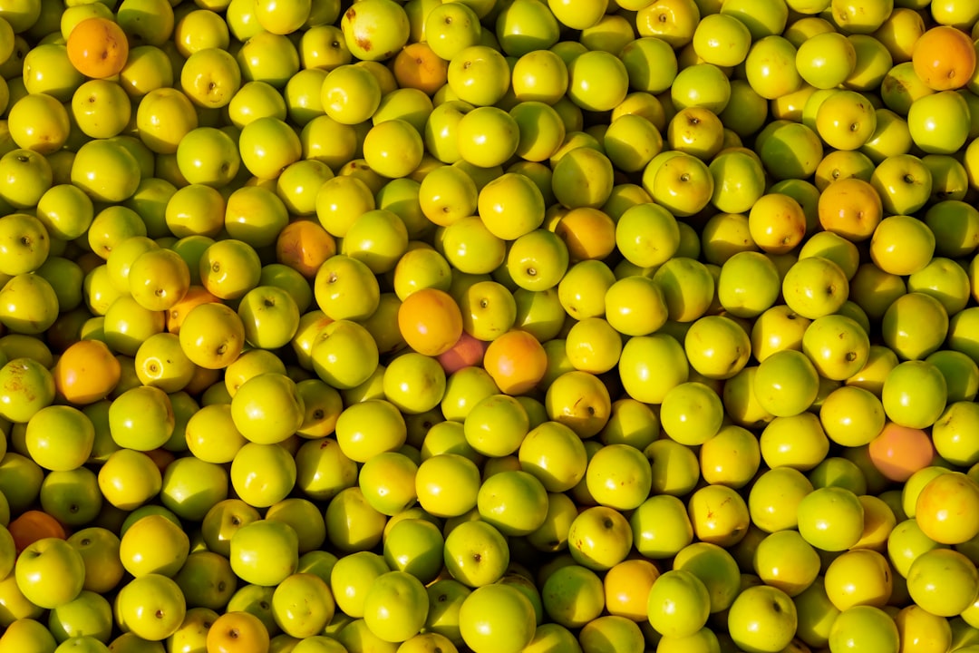 Memecik Yağı Ege’nin Mutlu Tatları - olive festival