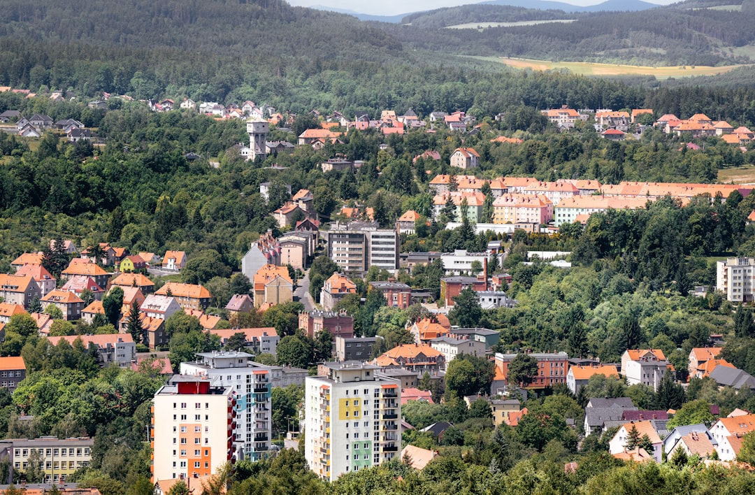 Milas Trilye Zeytinyağı ile Lezzet Sırları - Milas bölgesi