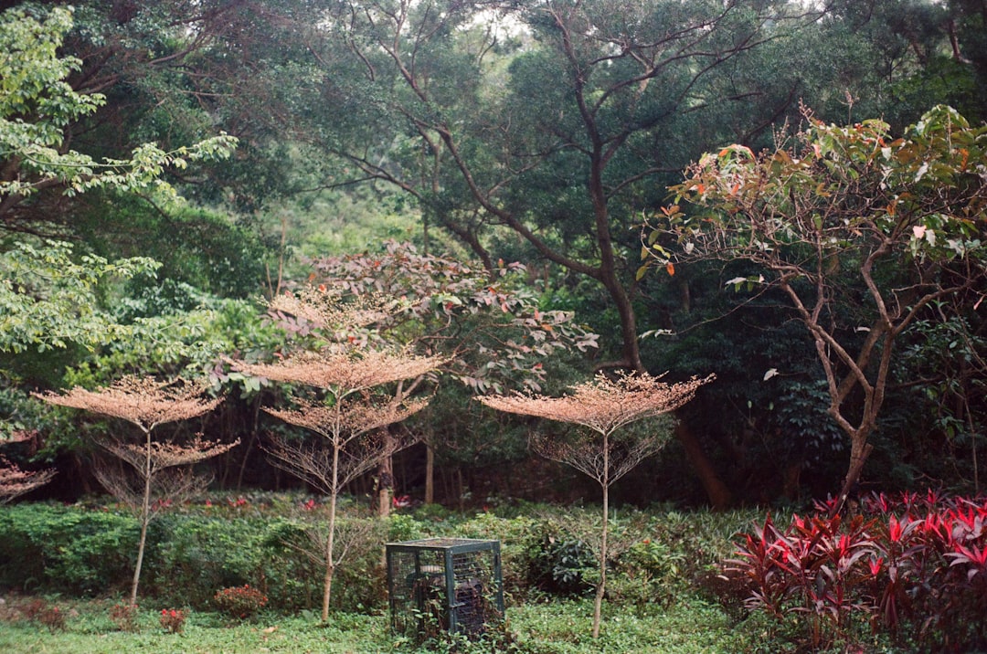 Mini Tadım Şişeleriyle Çift Katlı Lezzet Yolculuğu - zeytin bahçesi