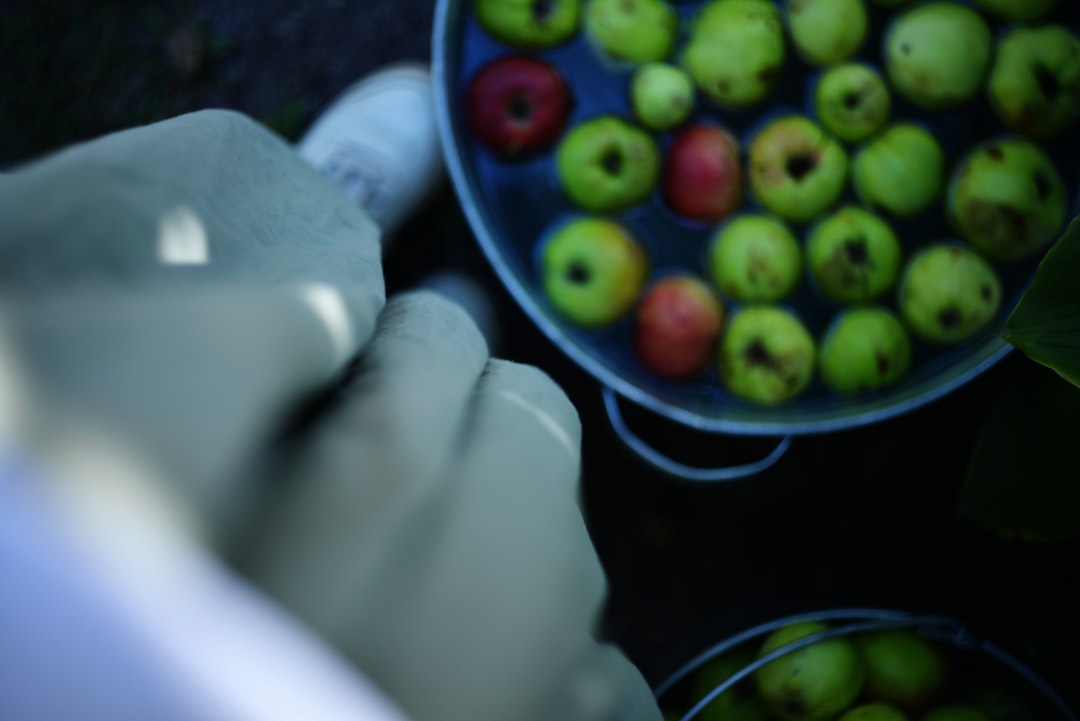 Naturel Birinci ve Riviera: Hafif Lezzetin En İyi Seçeneği