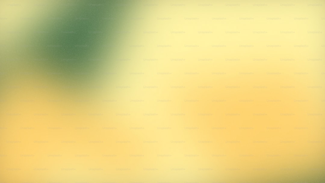 Naturel Birinci Zeytinyağı ile Taze ve Ekonomik Beslenme