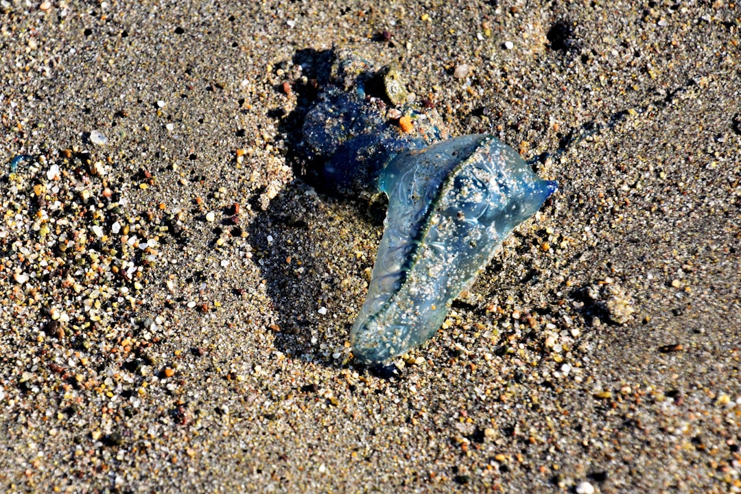 Plastik Bidonlarla Yağ Dağıtımında Çevresel Etkileri Azaltma - plastik bidon