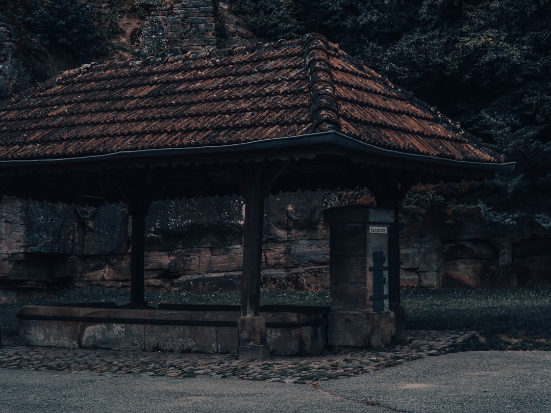 Riviera Yağları ile Kızarmış Meze Hazırlığı - kızarmış meze