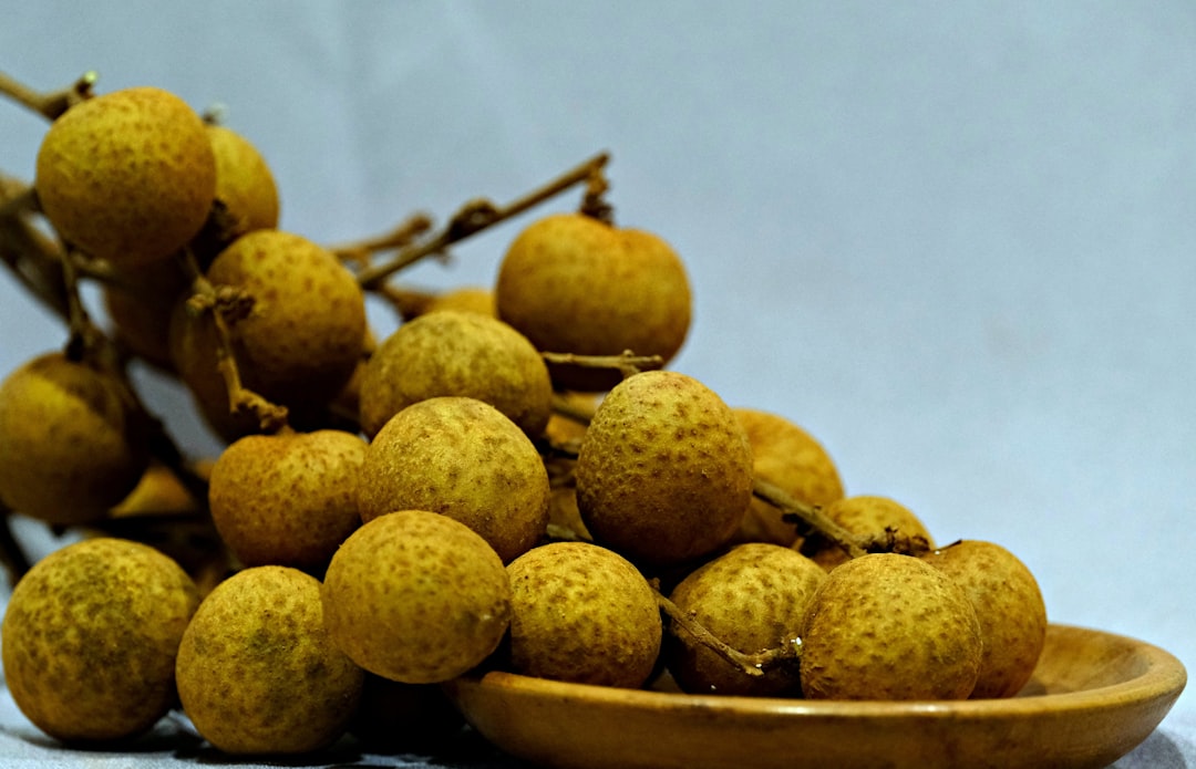 Riviera Yağları ile Sağlıklı Dökme Zeytinyağı Alımı - zeytin tarlası