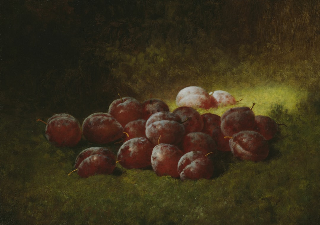 Riviera Yağları ve Naturel Birinci Ekonomik Seçim - zeytin tarlası