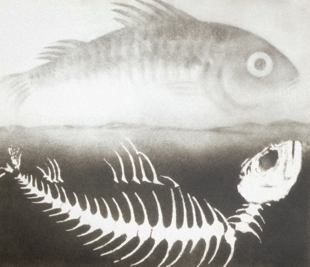 Riviera Yağlarıyla Endüstriyel Yemeklerin Sırları - kızarmış balık