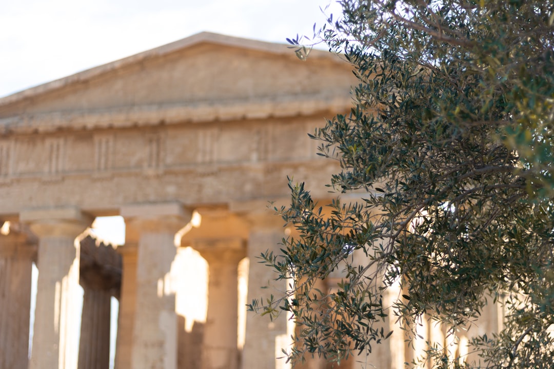 Riviera Zeytinyağında Türev Ürünleri Nedir? - olive grove