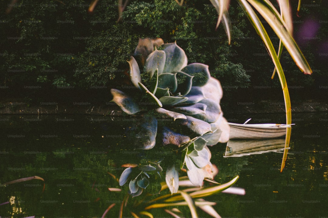 Tadım ve Lezzet Setleriyle Mutlu Bir Zeytinyağı Hikayesi - zeytin bahçesi