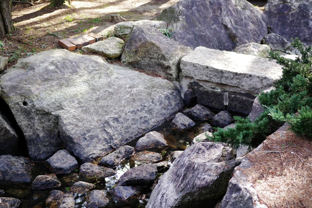 Taş Baskı Yöntemiyle Geleneksel Zeytinyağı Üretim Sanatı - stone press