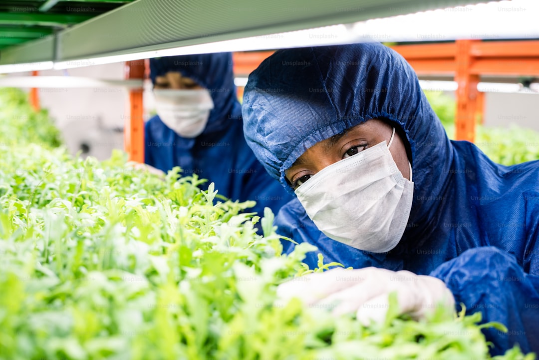 Yamalak Sarısı Yağı Denizli'den Ege'ye Coğrafi İşaretin Yansıması