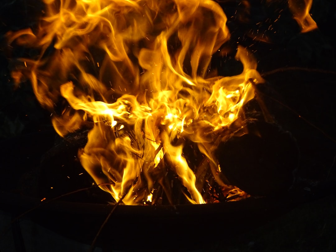 Yüksek Isıda Pişirme İçin En İyi Naturel Yağlar - high heat cooking oil