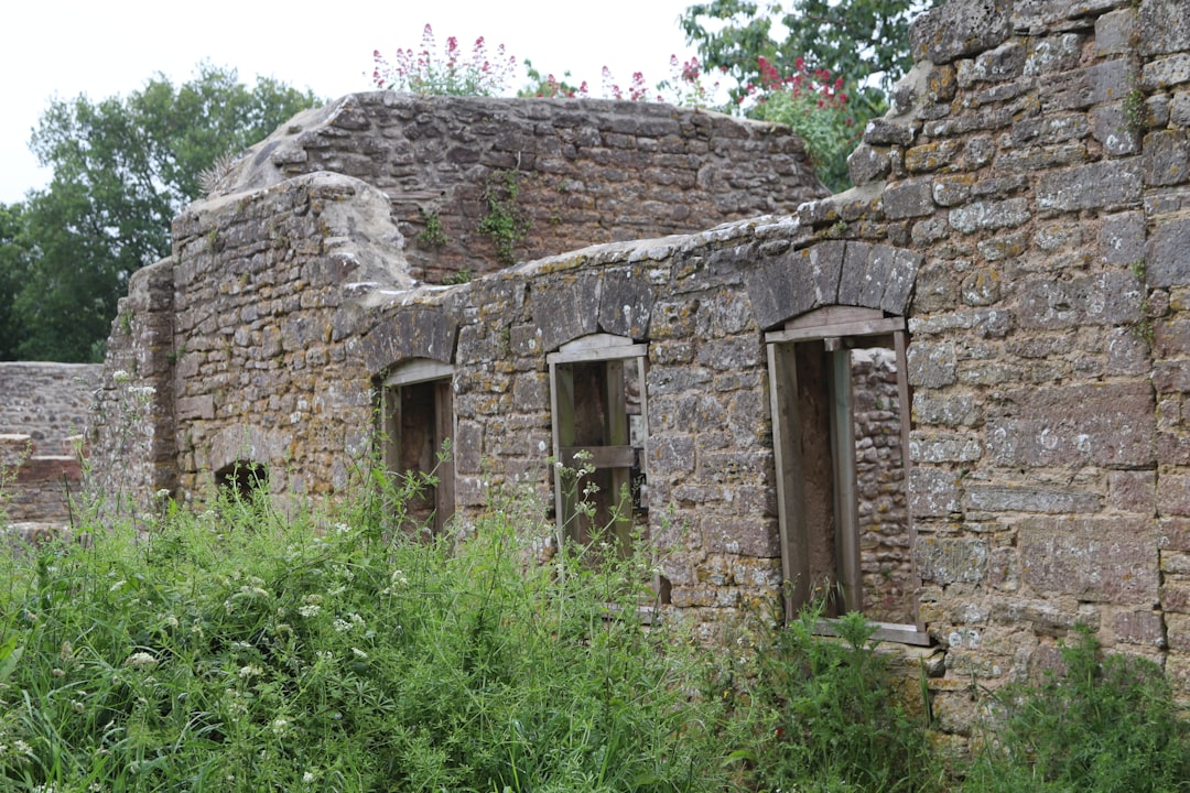 Zeytin Çeşitliliği ve Soğuk Sıkım Üretiminde Özel Çekim Yöntemleri - stone press