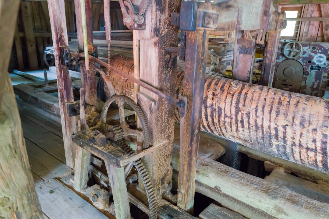 Zeytin Türlerine Göre Soğuk Sıkım Üretim Rehberi - stone press