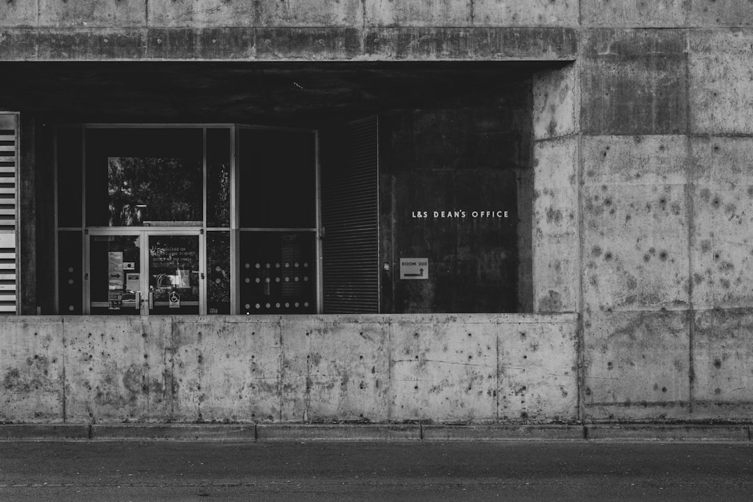 Zeytinlerden Sızma Zeytinyağına Uygulanan Soğuk Sıkım - olive press