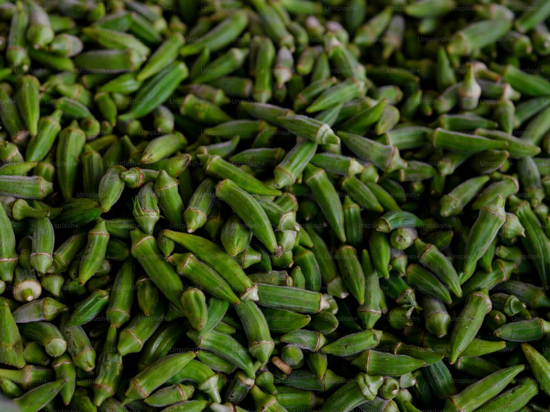 Zeytinyağı Farkındalık Seti Bölgesel Yağların İncileri - regional olive oil