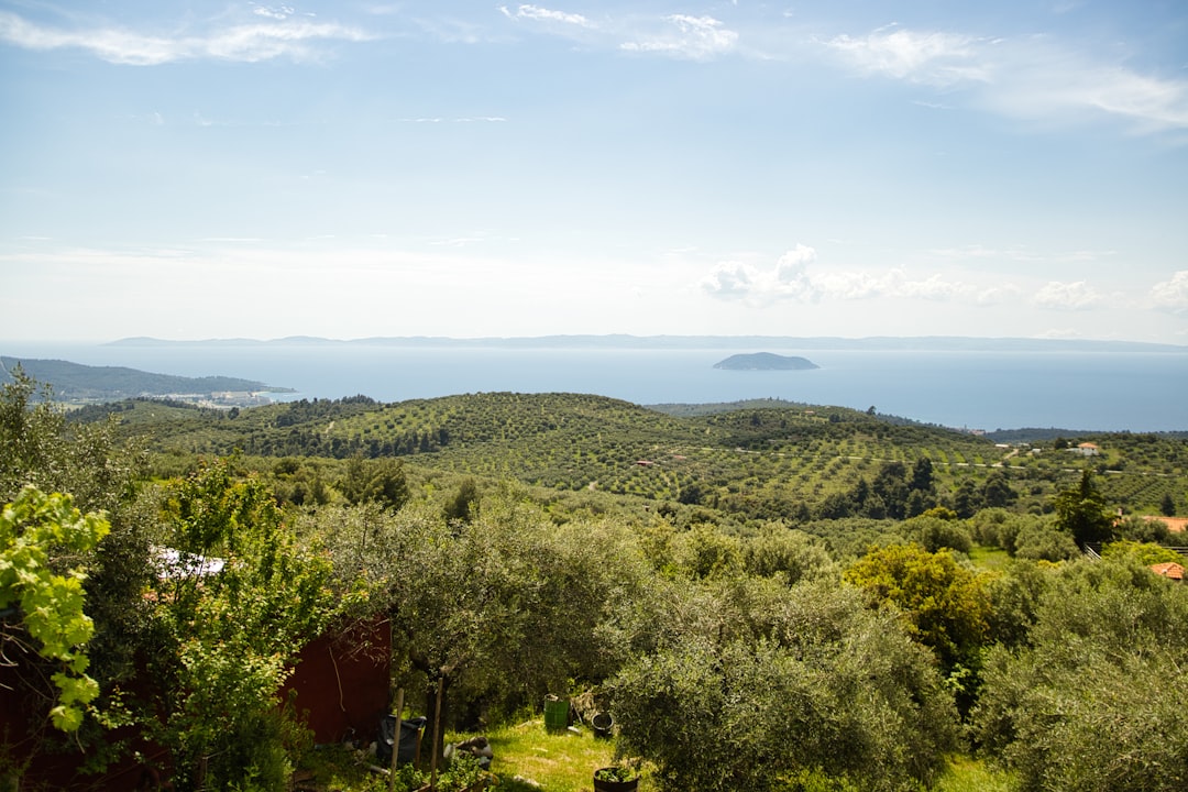 Zeytinyağı Farkını Keşfet