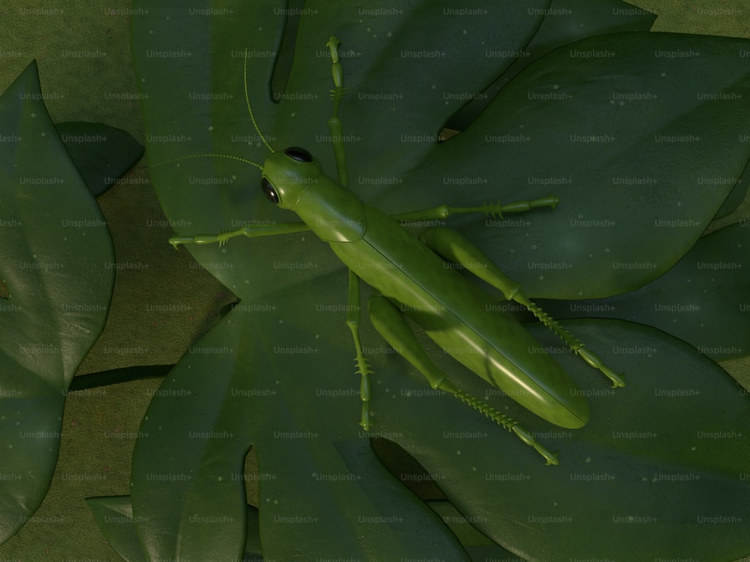 Zeytinyağlı Ürünlerin Yaratıcı Sunum Yöntemleri - gemlik olive on bamboo