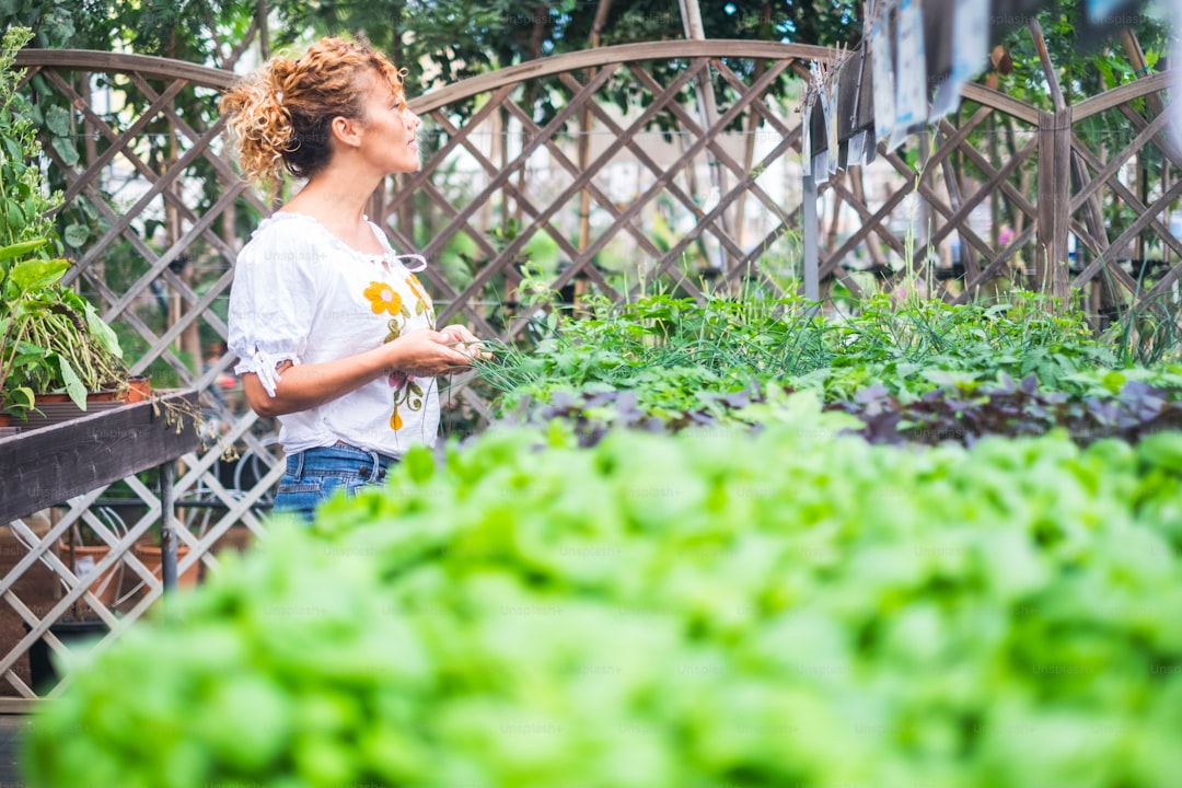 Zeytinyağlı Yemeklerin Renk ve Tatlarını Artıran Malzemeler - fresh herbs